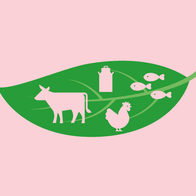Meat meets Science: Das Fleisch der Zukunft? Meat meets Science: Das Fleisch der Zukunft?