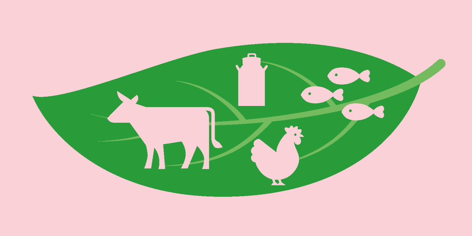 Meat meets Science: Das Fleisch der Zukunft? Meat meets Science: Das Fleisch der Zukunft?